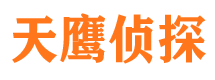 天河私家调查公司